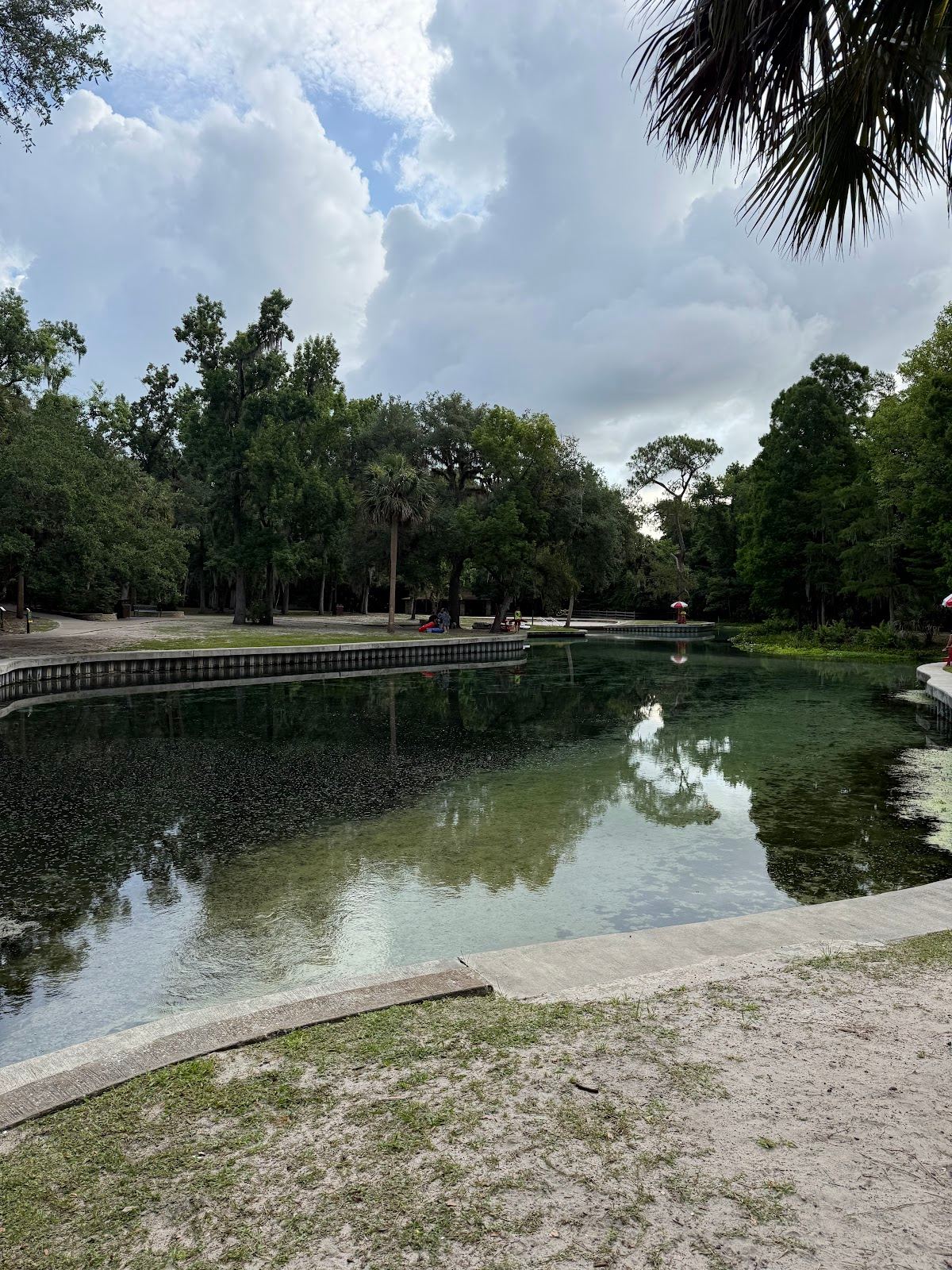 Kelly Park Consessions