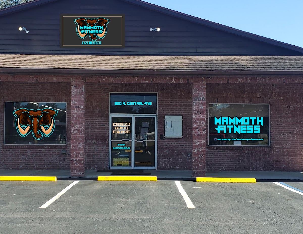 Mammoth Fitness