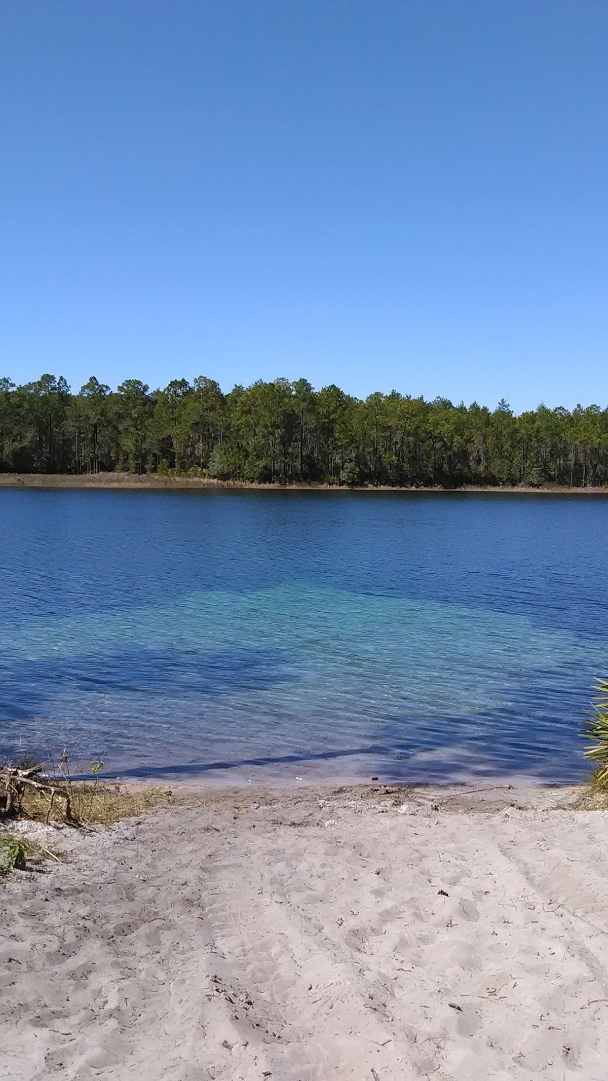 Ocala National Forest - Seminole Ranger Station