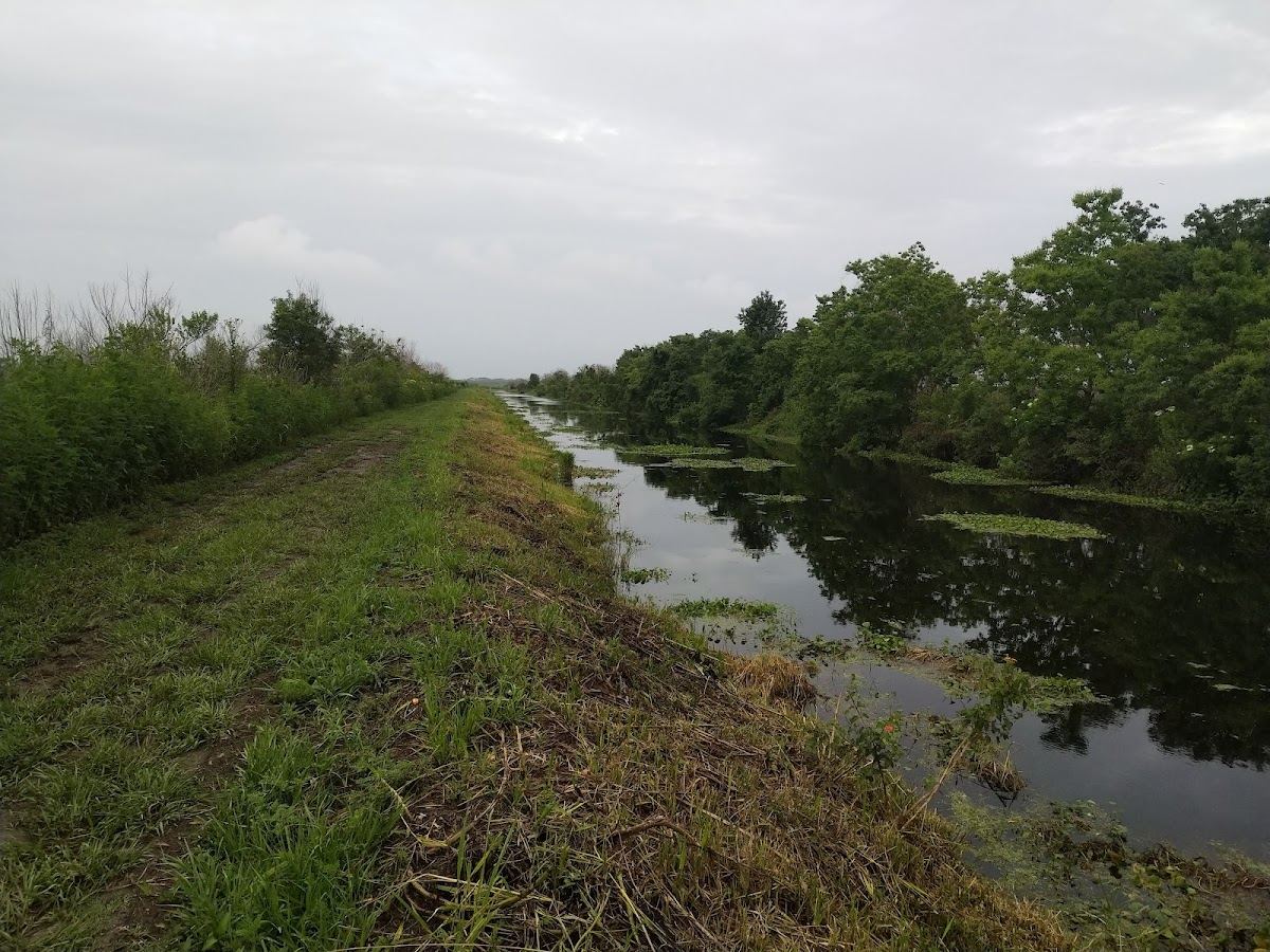 Pine Meadows Conservation Area