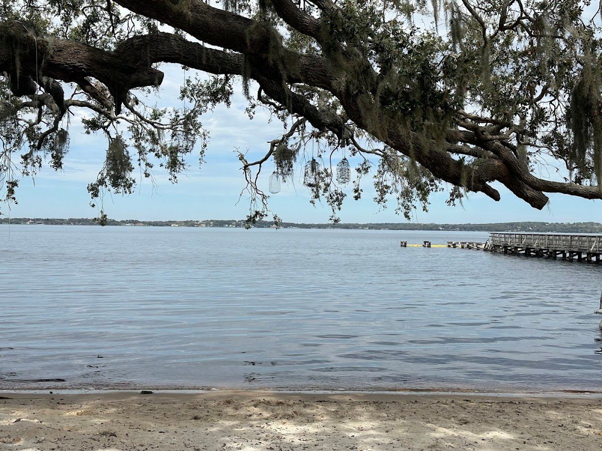 Purple Martin Nesting Site