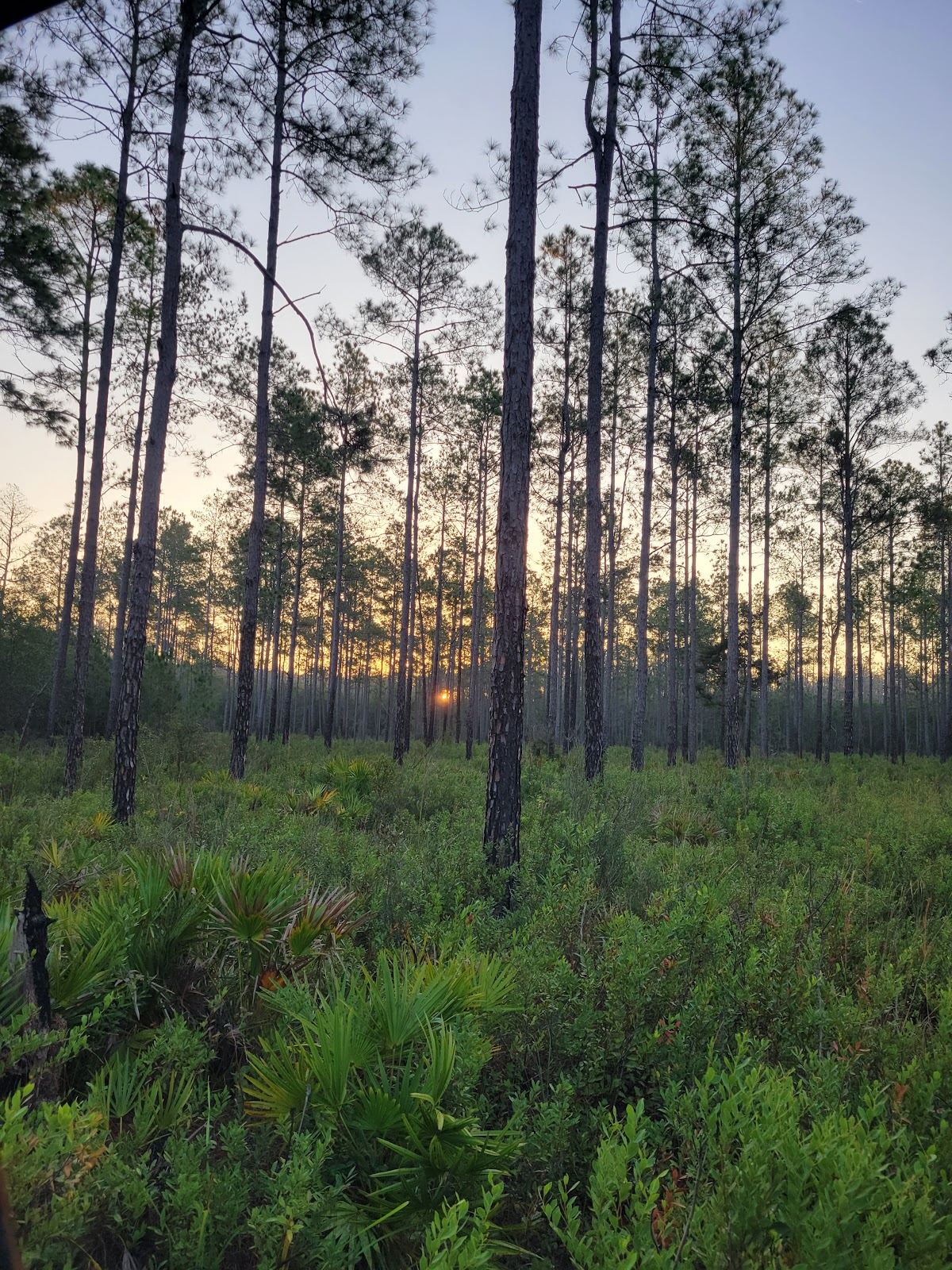 Richloam Wildlife Management Area