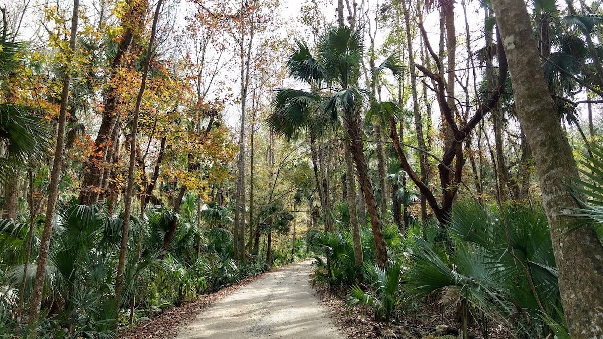 Seminole State Forest