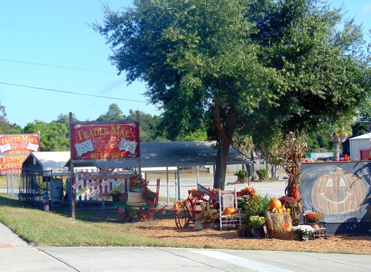Trader Mae's Decor Market