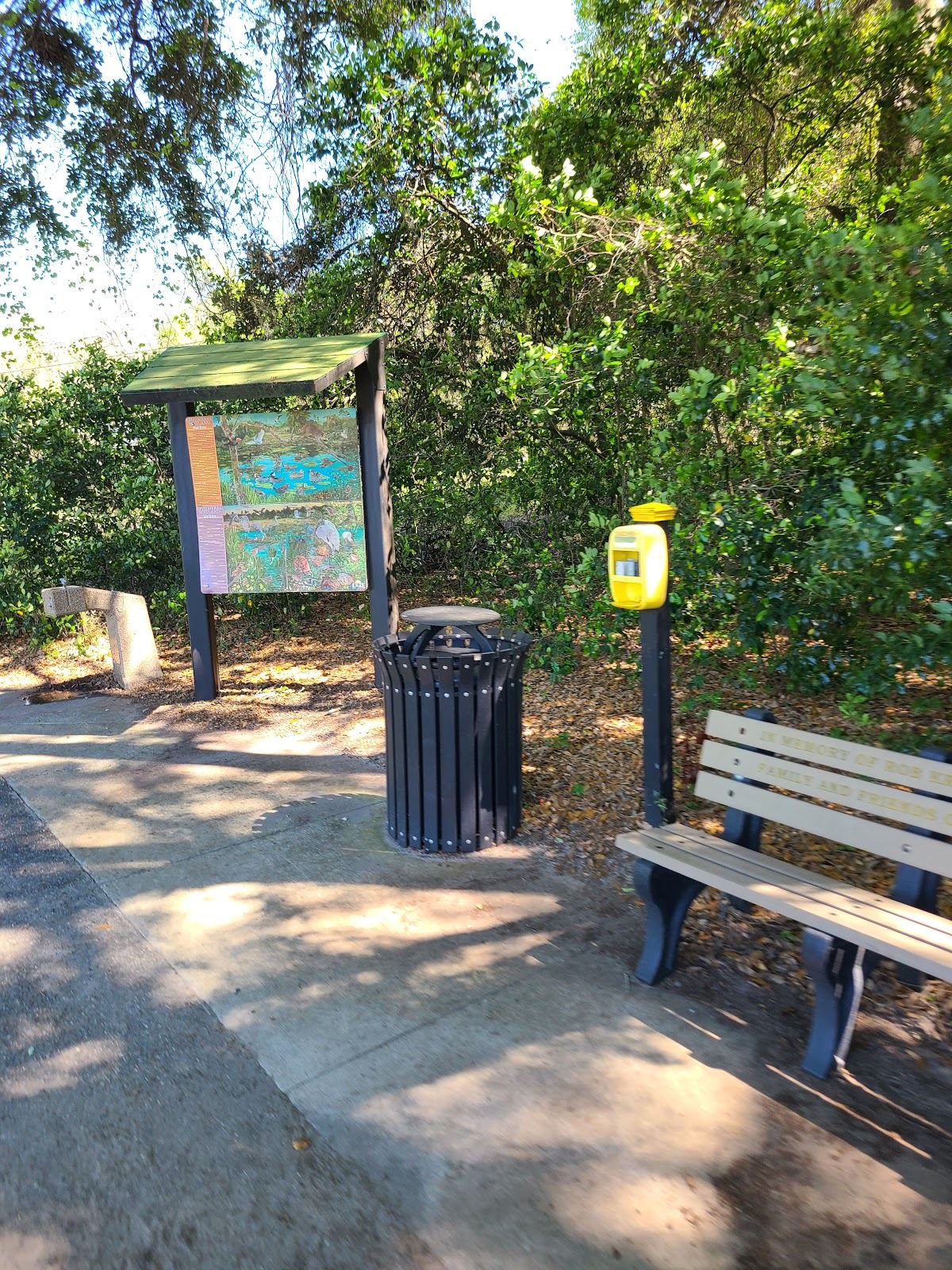 Trailside bench