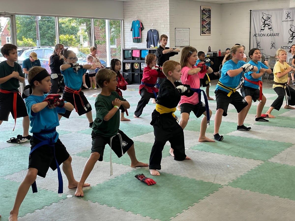 Action Karate Quakertown