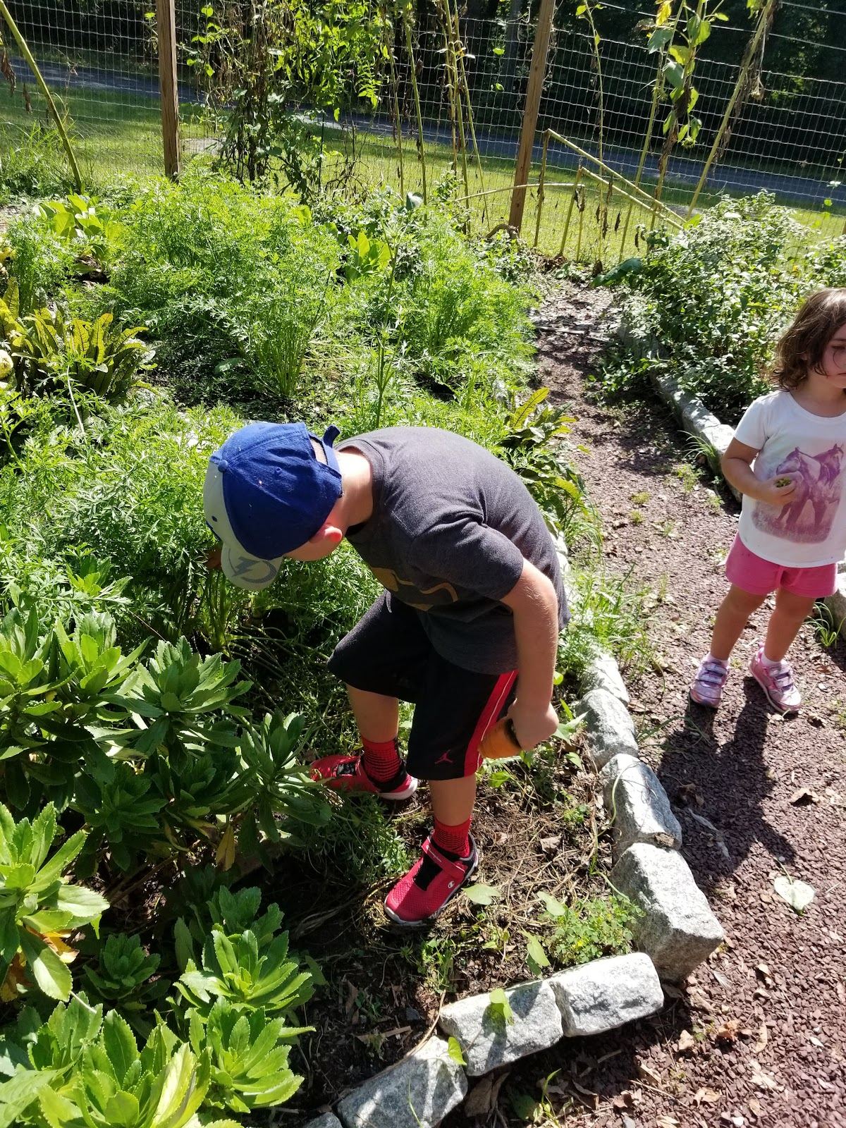 Greenshire Institute for Holistic Studies