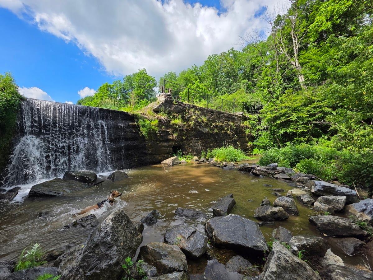 Hassen Creek Nature Trail