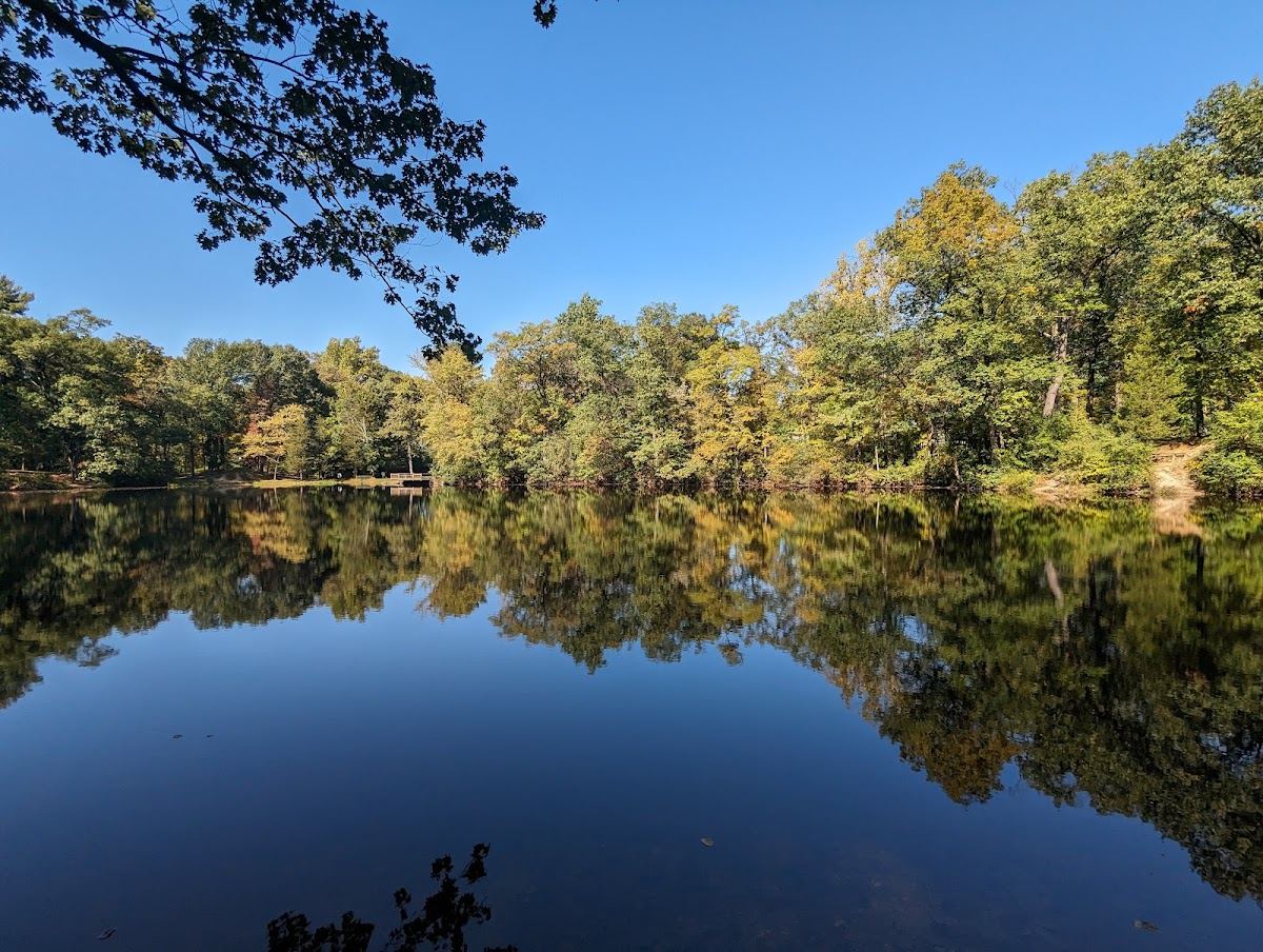 Hunsicker's Grove