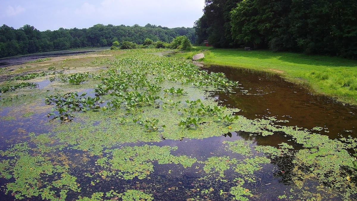 Lake Towhee Park