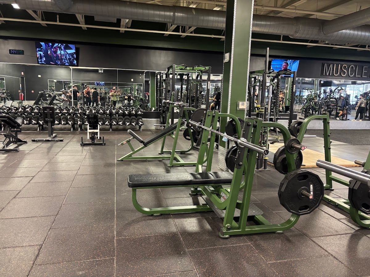 Muscle Inc. Gym