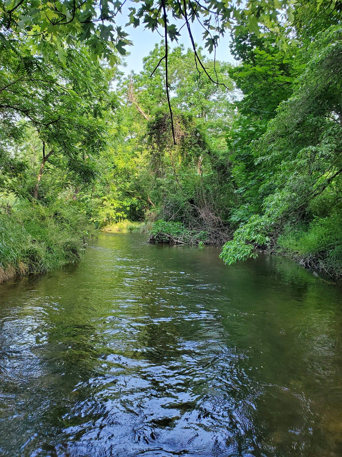 North Park