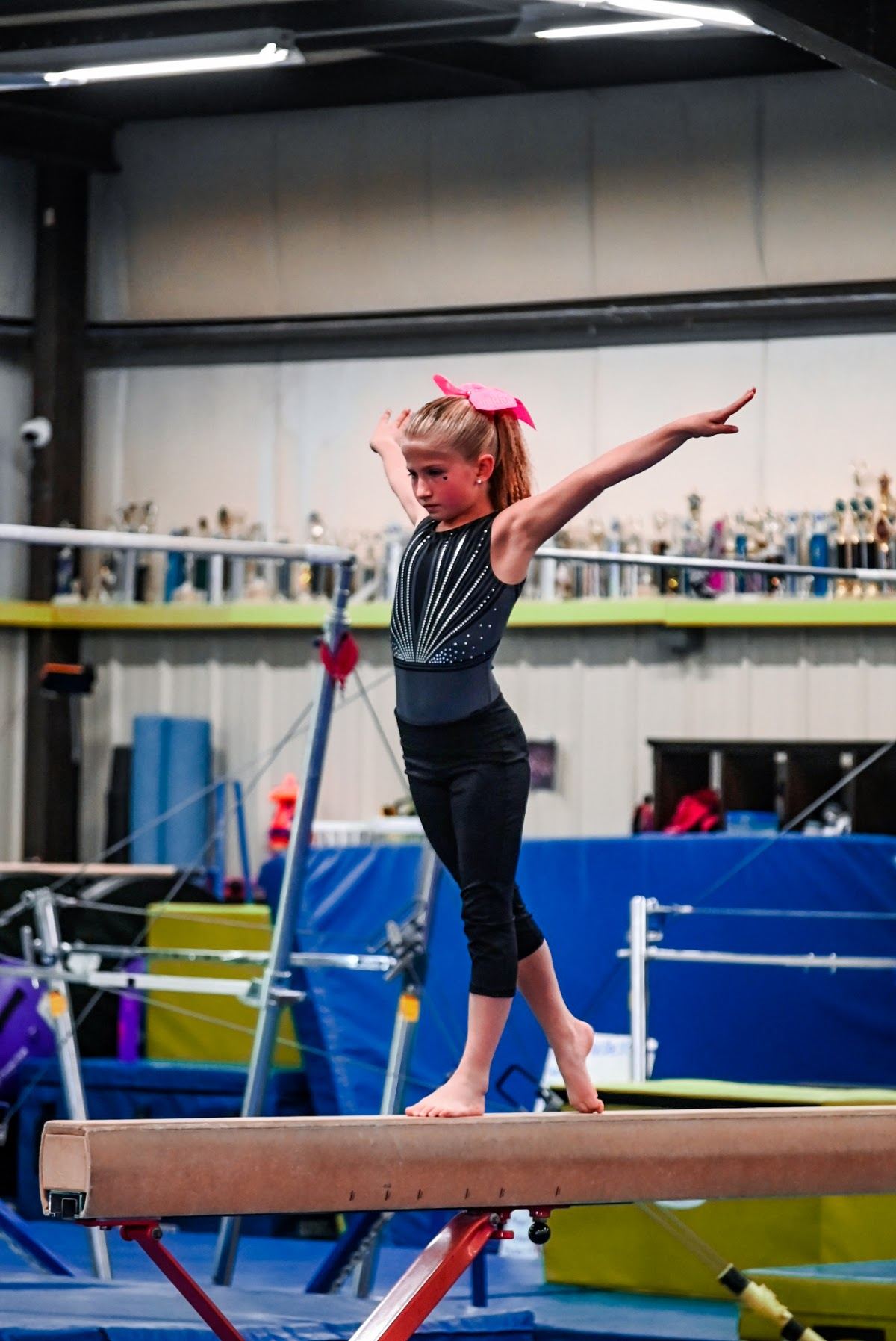 Power & Grace Gymnastics and Dance Inc.