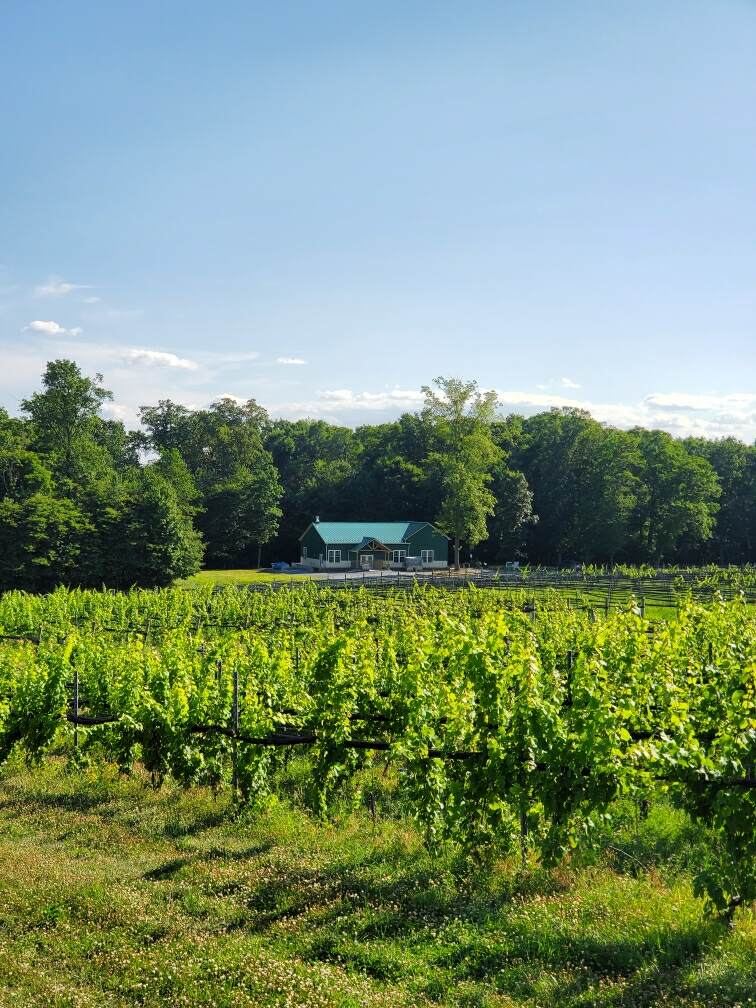 Ridgeview Farm & Vineyards/ Ridgeview Farm Brewing Co.