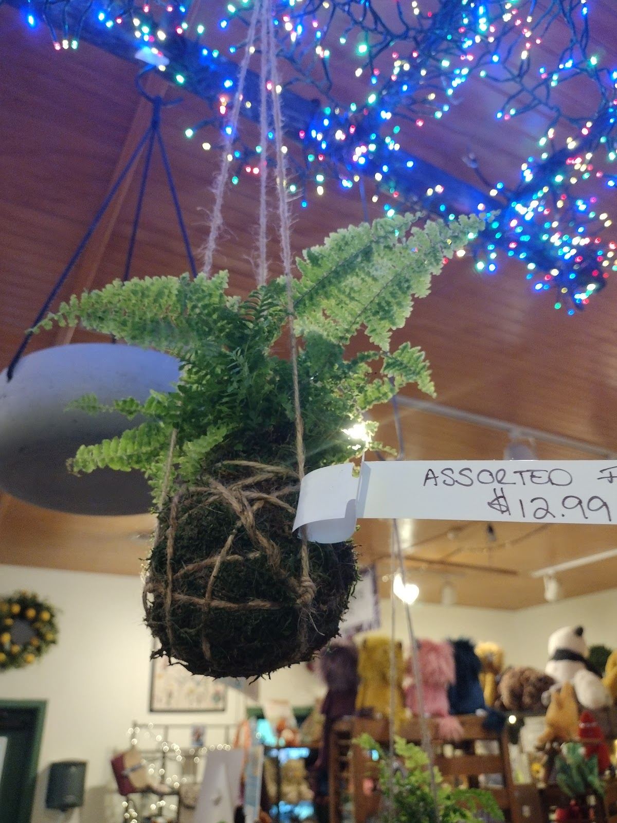 Riverview Tree & Landscaping, and Riverview Gardens & Gifts