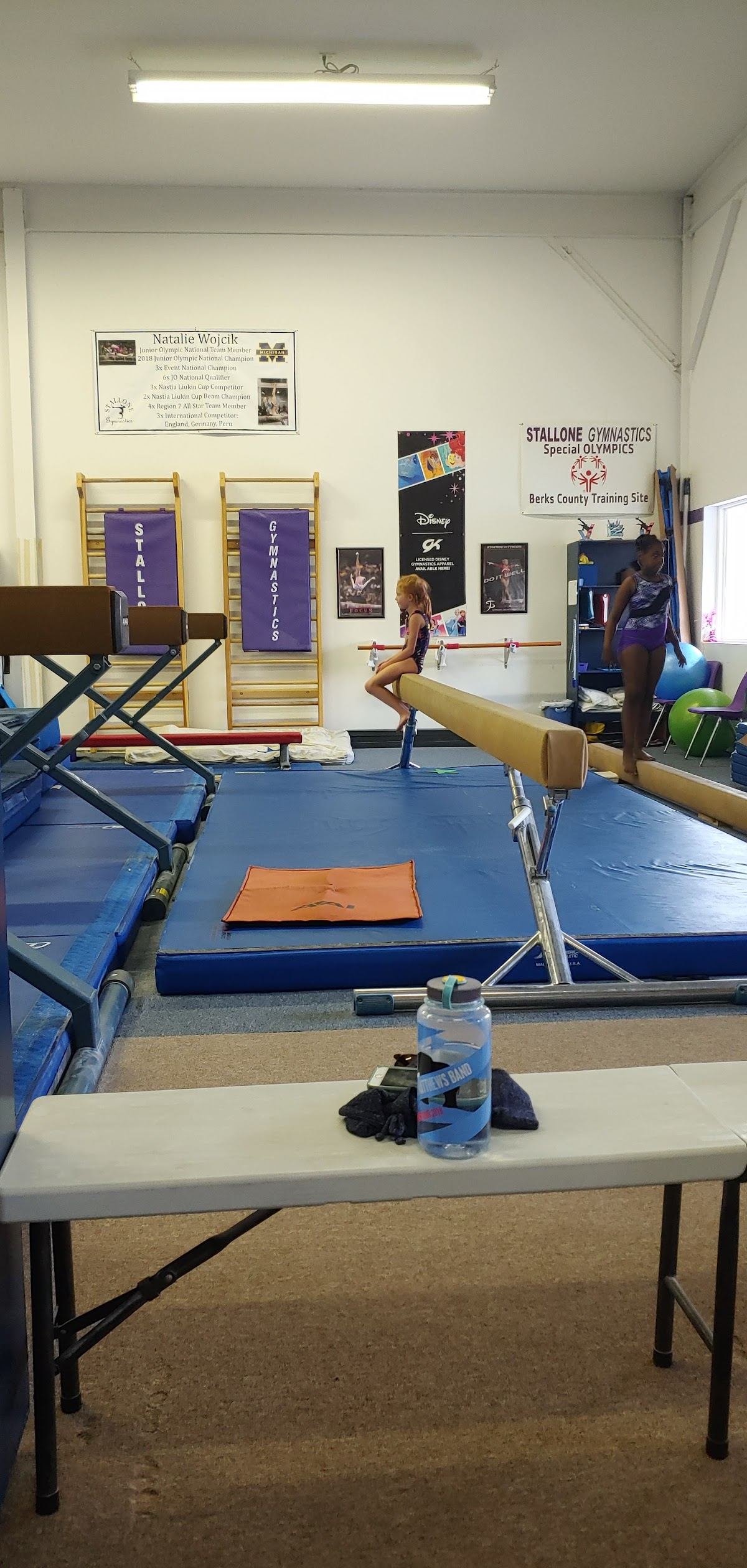 Stallone Gymnastics