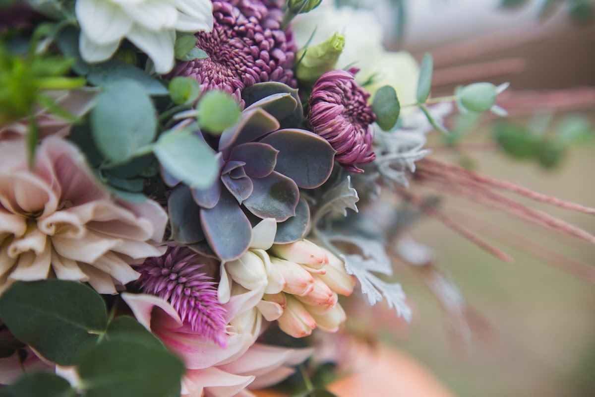 The Rustic Bunch