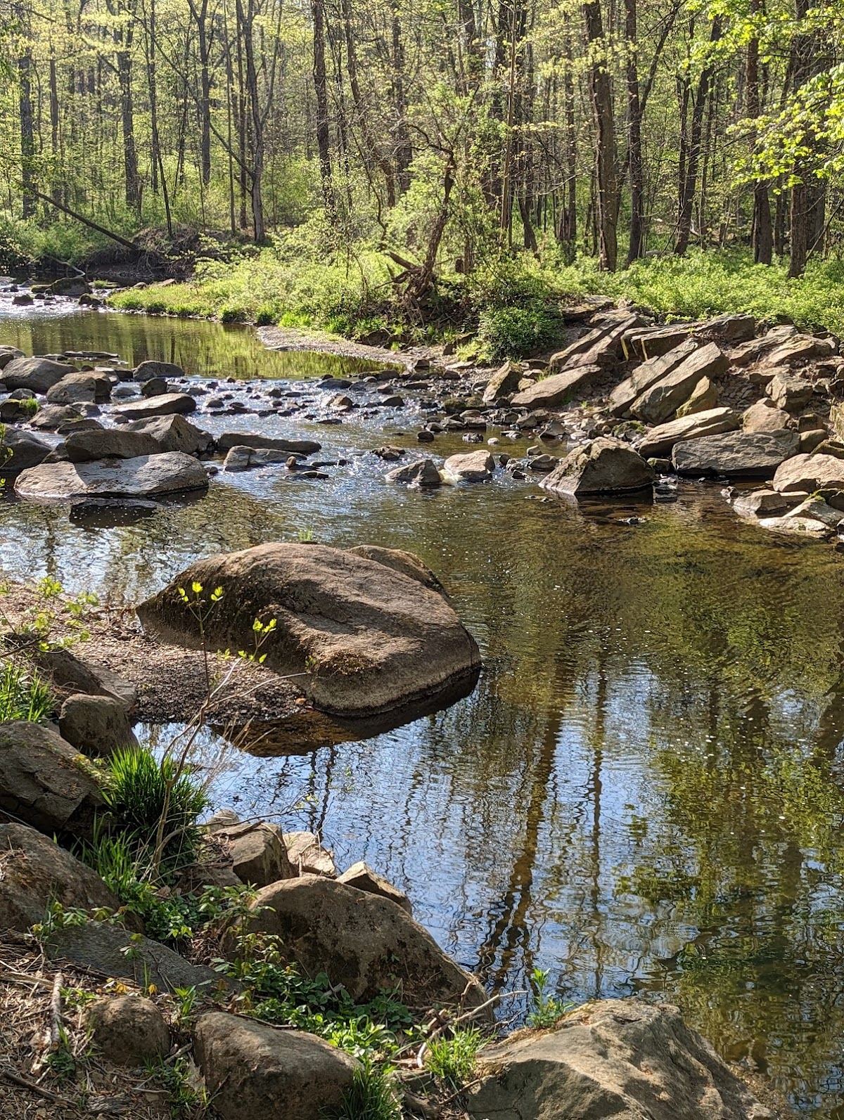 Unami Creek Park- Milford Township