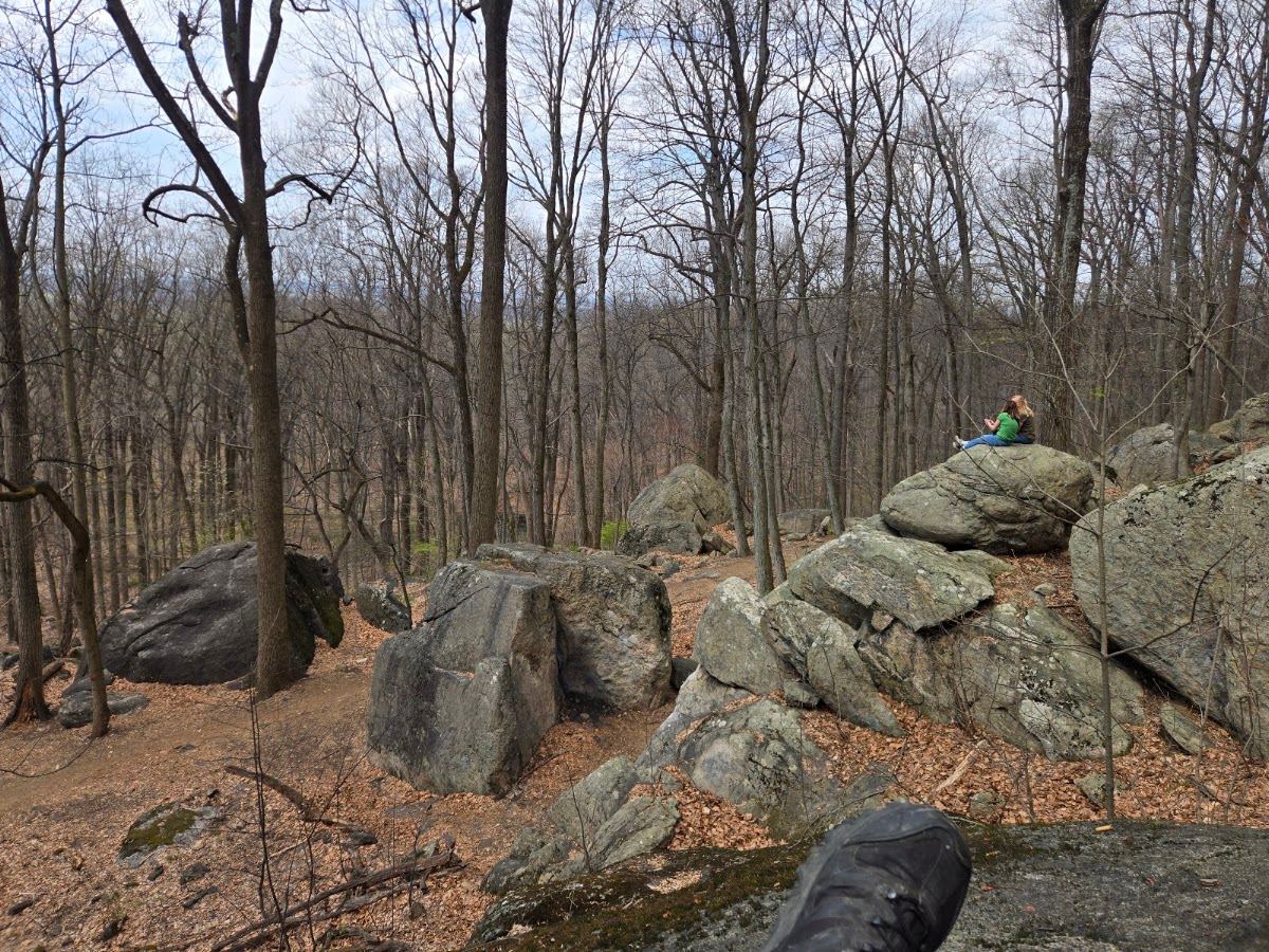 Wildlands Conservancy’s South Mountain Preserve