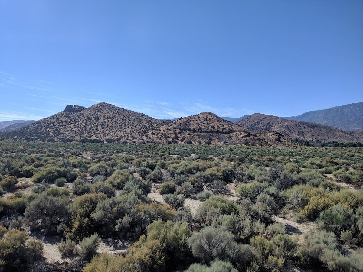 Acton Wash Wildlife Sanctuary