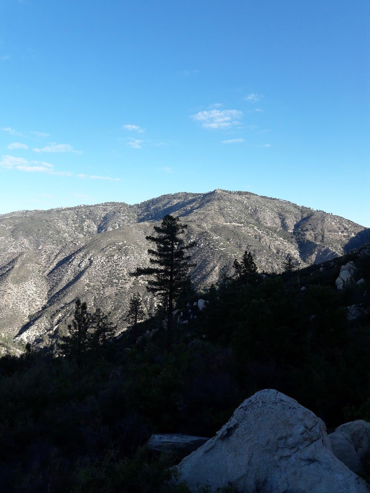 Rosenita Saddle Trailhead