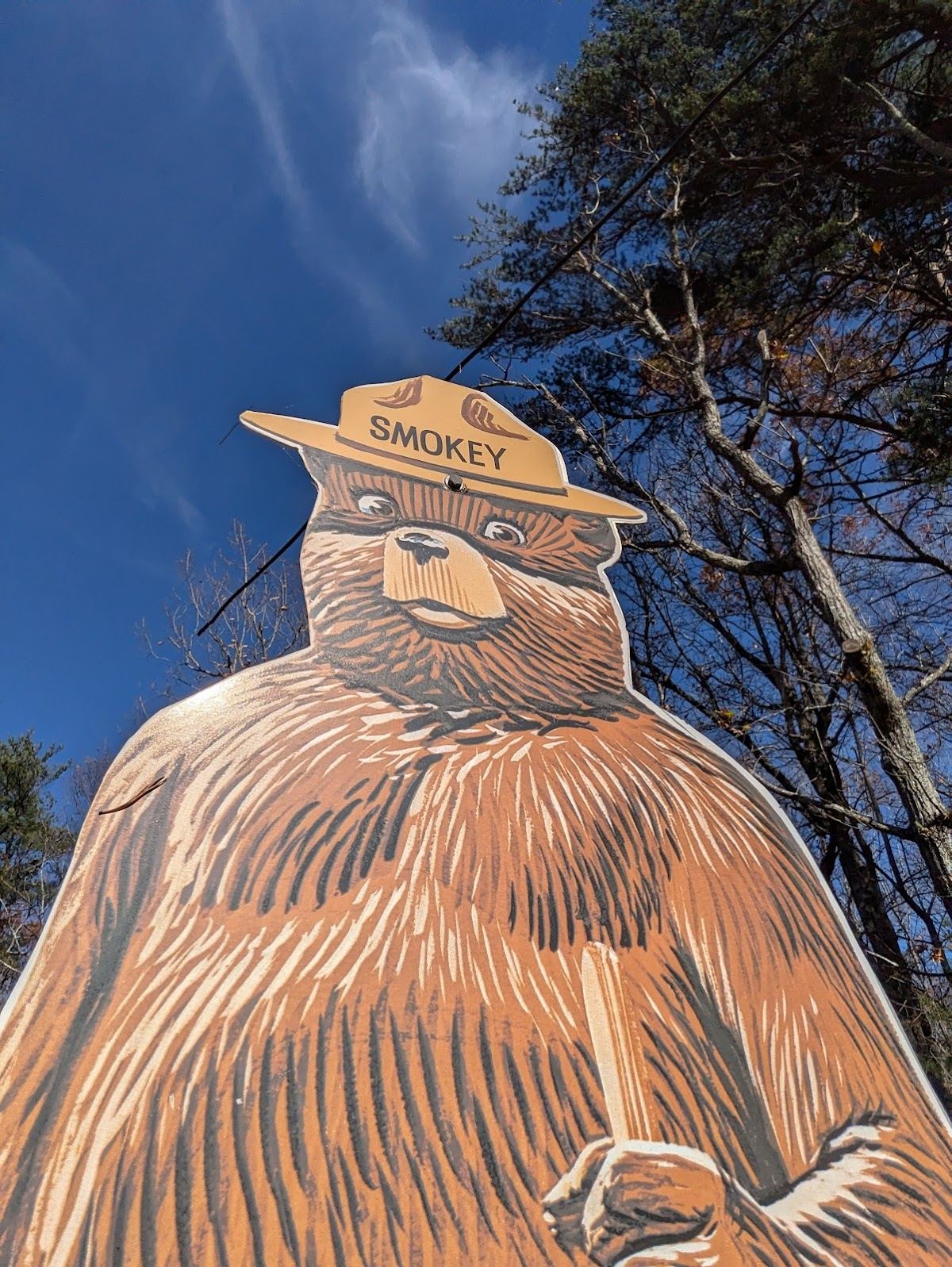 Amicalola Falls Campground