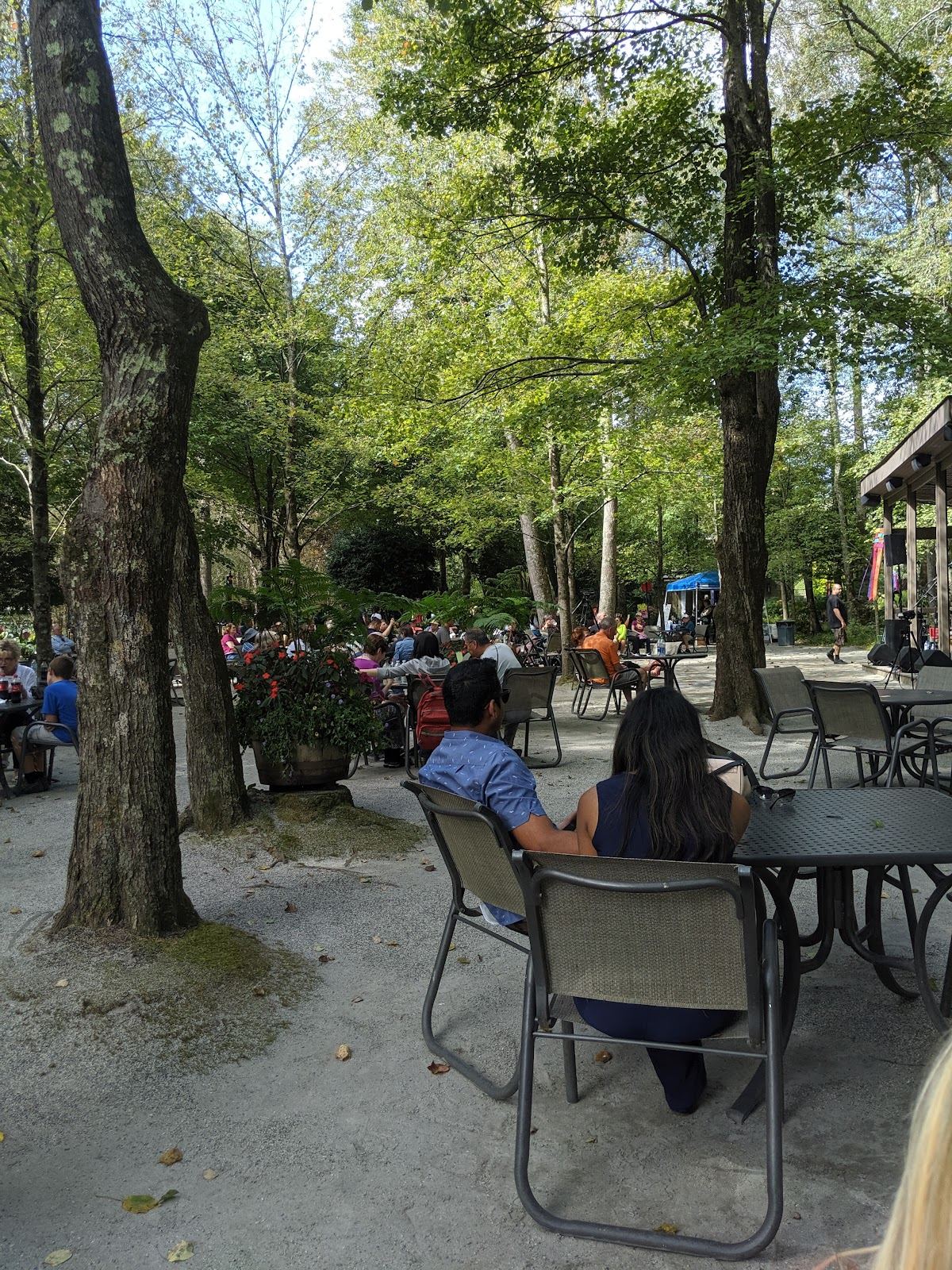 Arbor Cafe