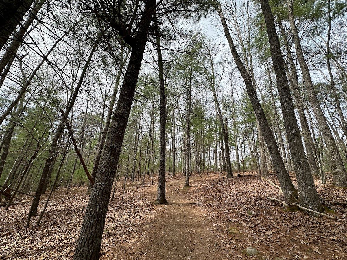 Aska Trails Parking Lot (Long Branch Loop Trailhead)