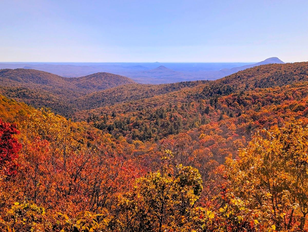 Chattahoochee-Oconee National Forest