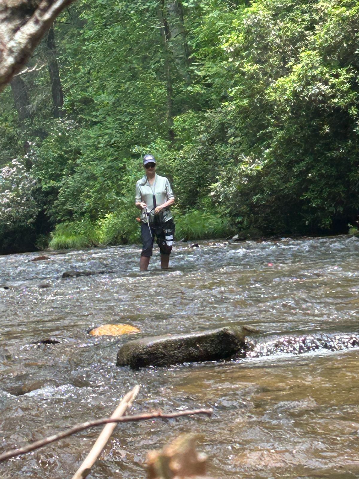 Coopers Creek - Toccoa River