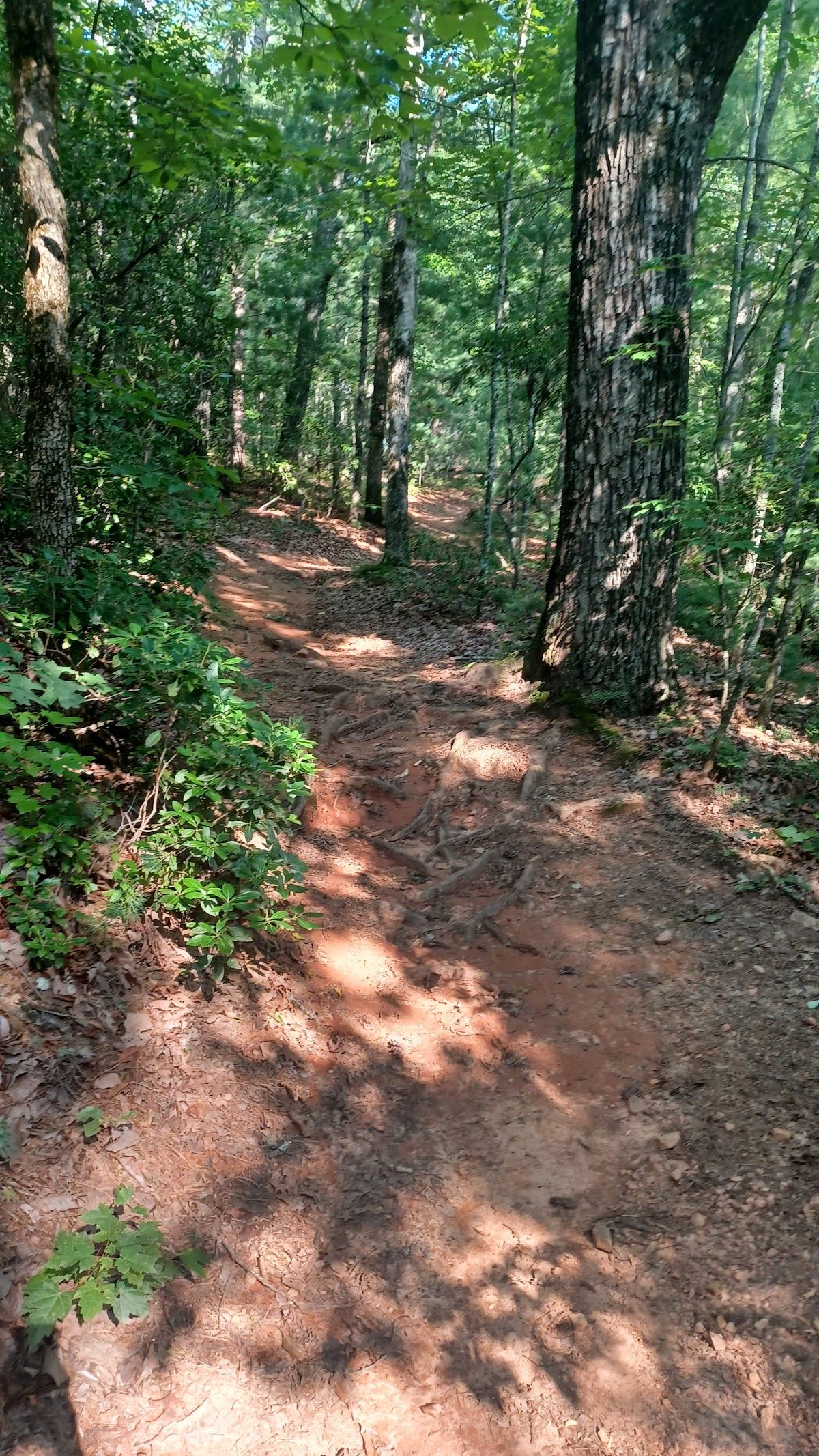 Jake Mountain Parking Lot