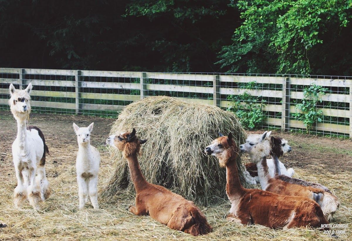 Paradise Valley Farm