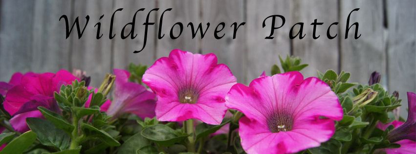 Wildflower Patch