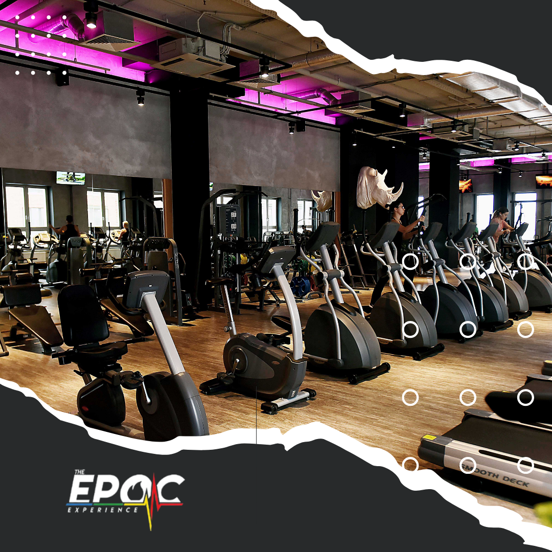 The EPOC Experience Highland