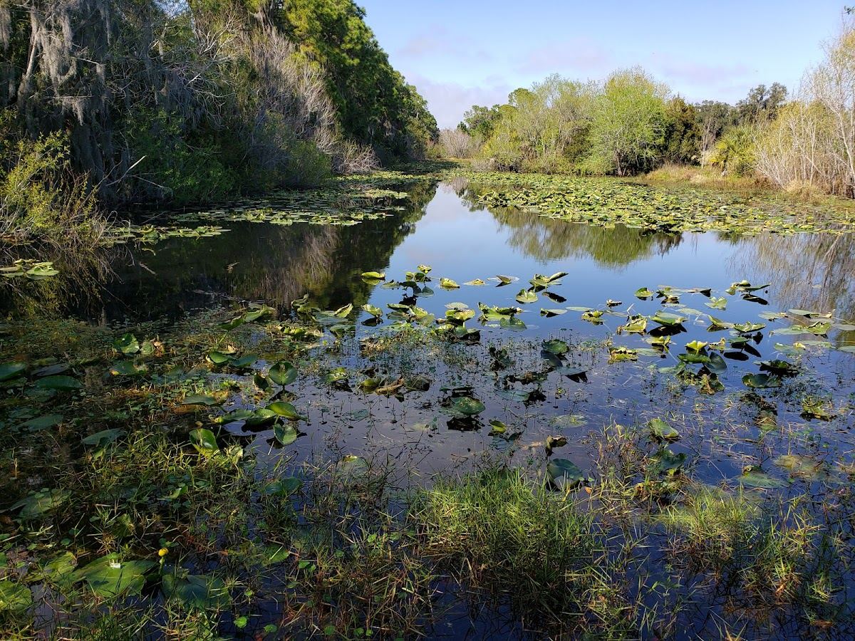 Felts Audubon Preserve & The Manatee County Audubon Society Inc.