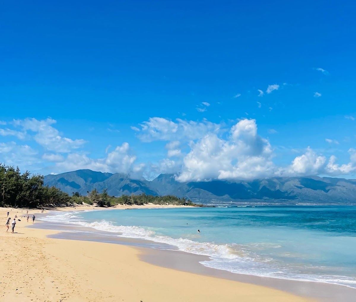 Baldwin Beach Park