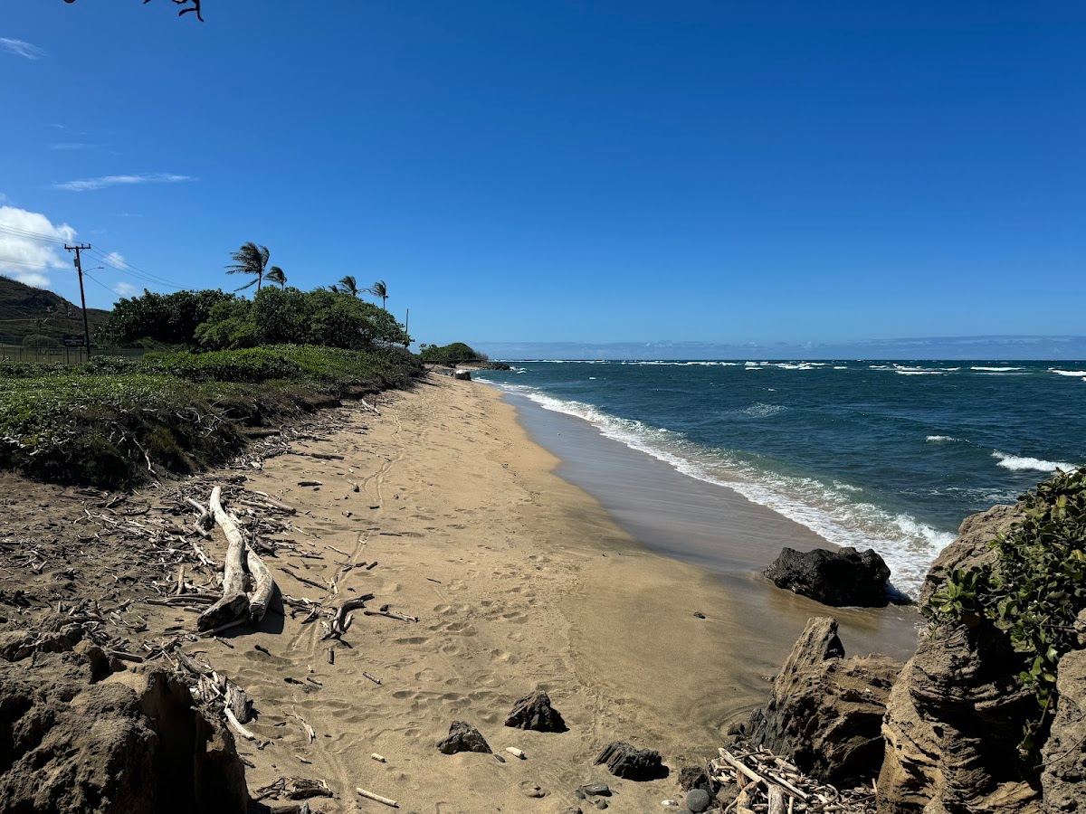 Coral Beach