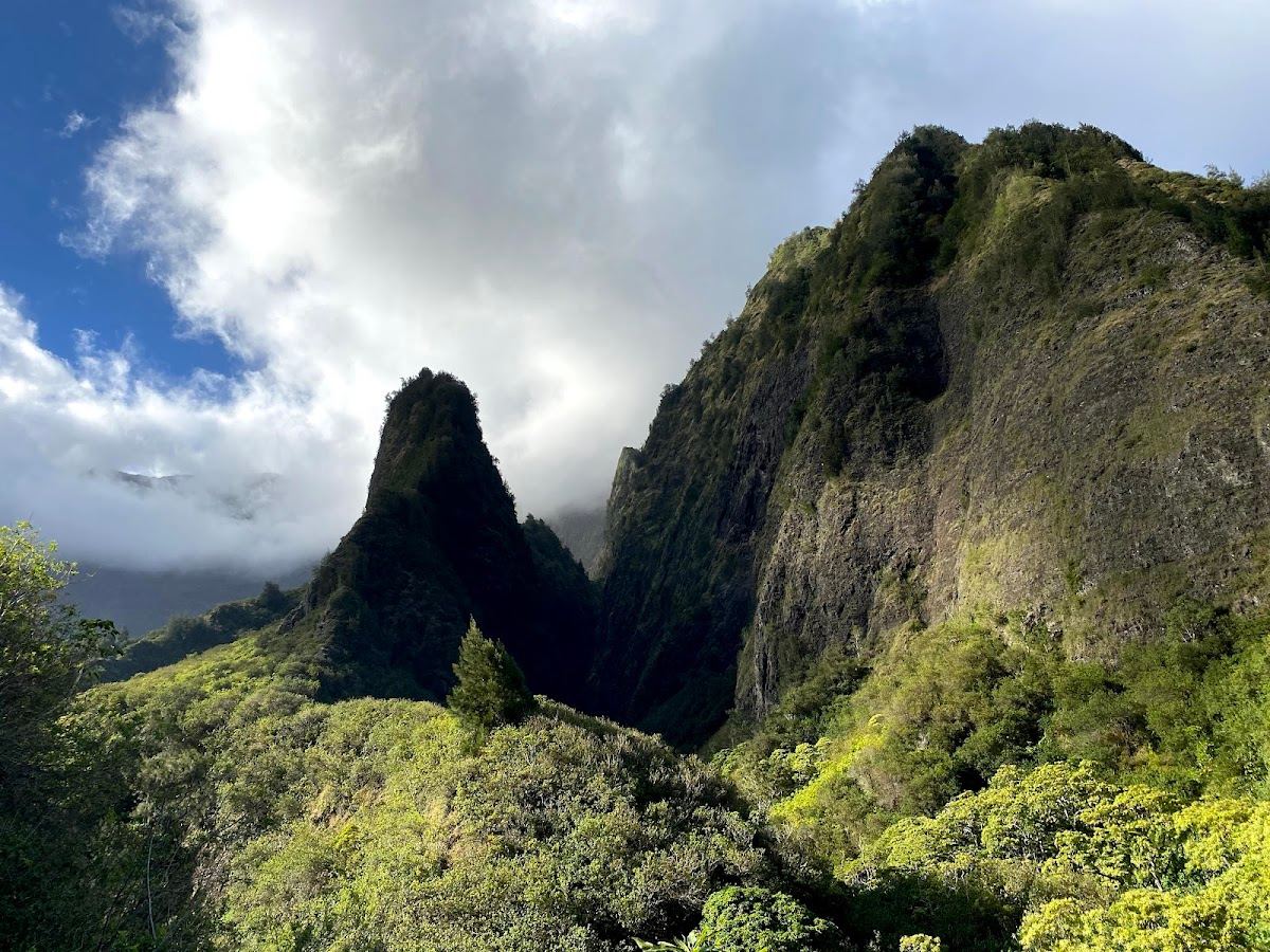 ʻIao Needle Lookout Trail and Ethnobotanical Loop