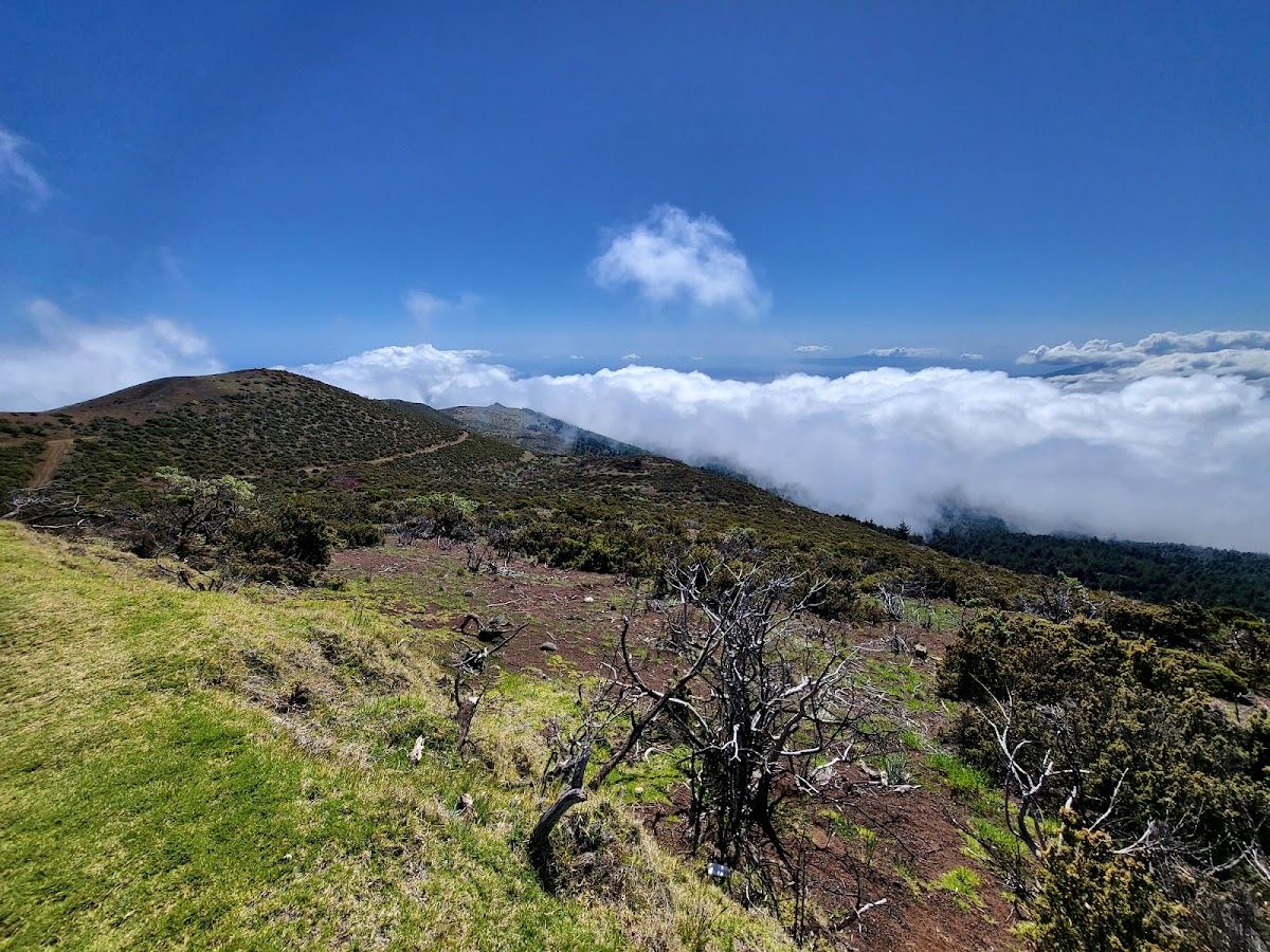 Kahikinui Forest Reserve