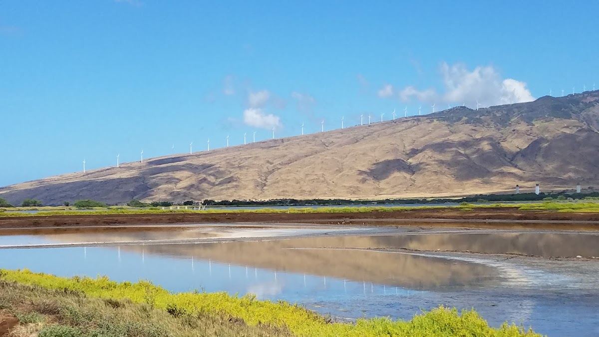 Keālia Pond National Wildlife Refuge