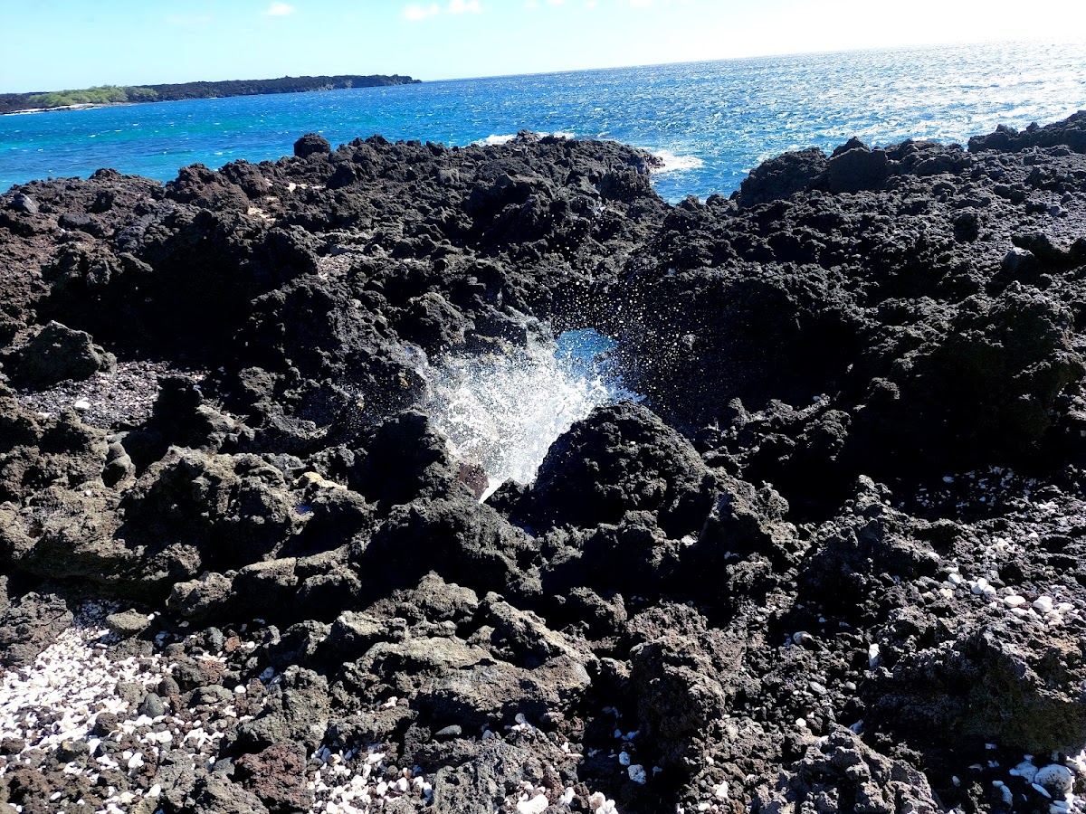 La Perouse Bay