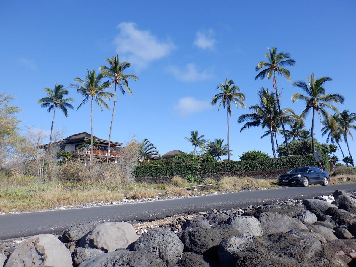 LOLO cove