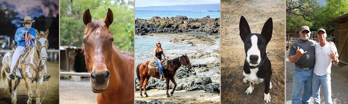 Makena Stables