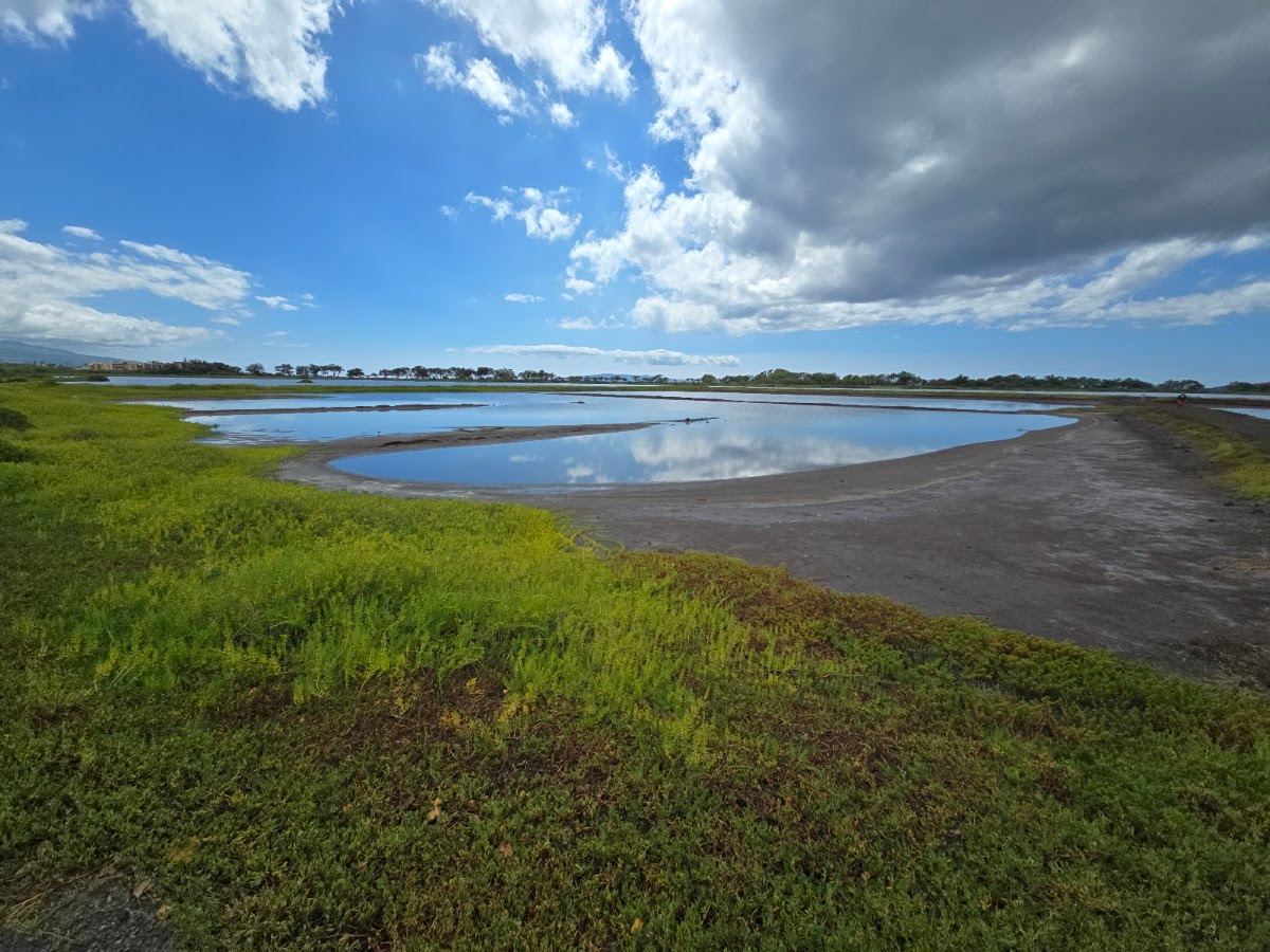 Maui National Wildlife Refuge Complex