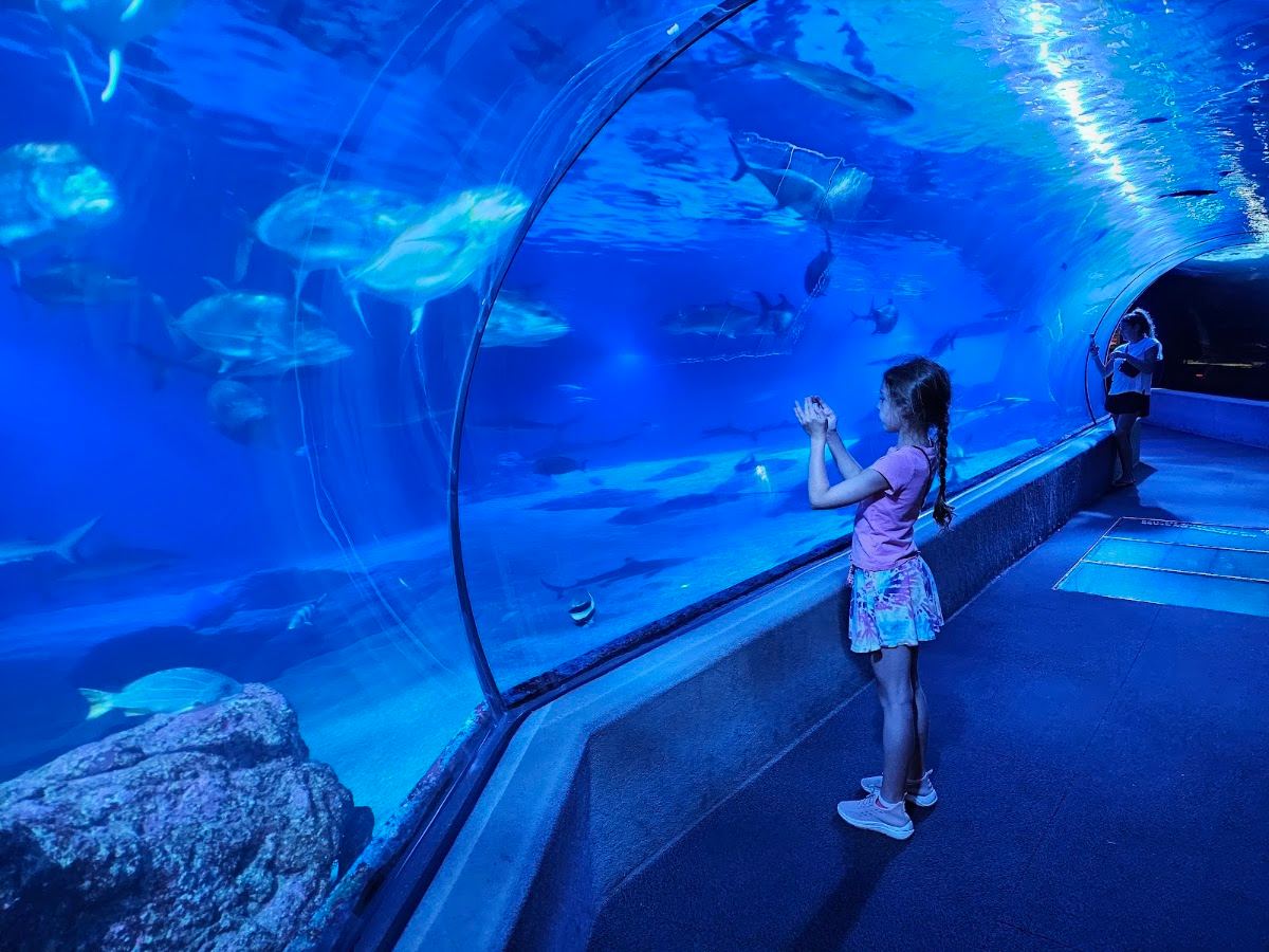 Maui Ocean Center, The Aquarium of Hawaii