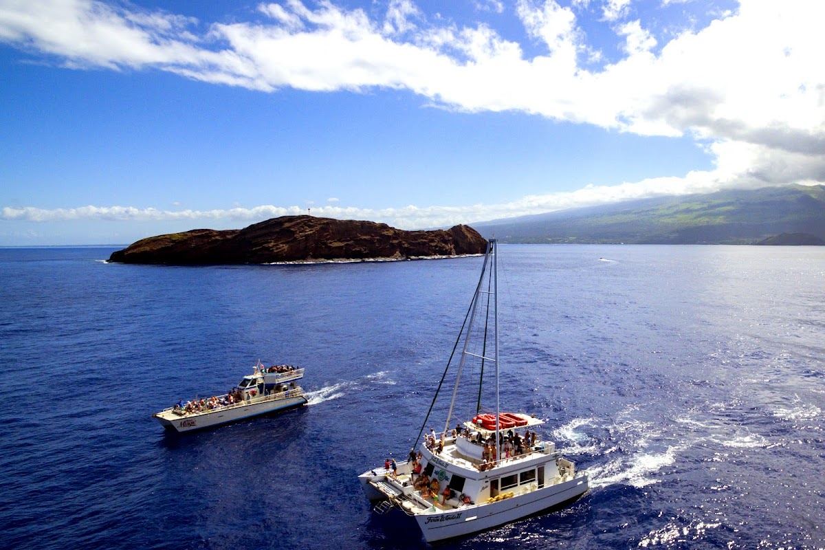 MCC Four Winds and Maui Magic Snorkel Tour Boats