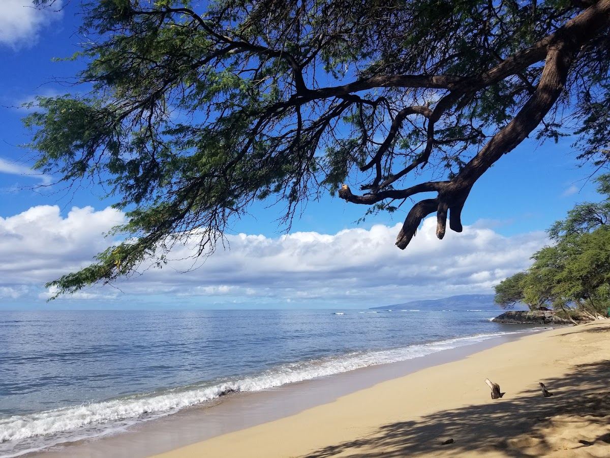 Pāpalaua Wayside Park
