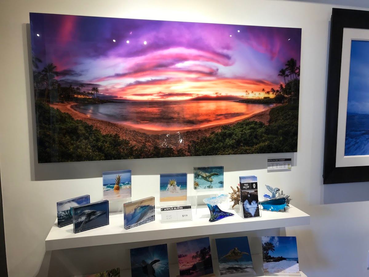 Pueo Gallery