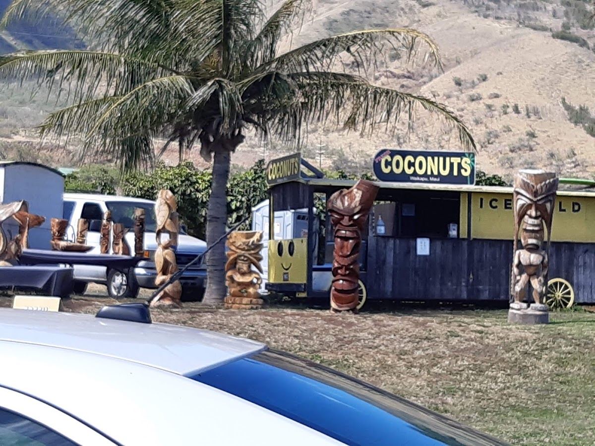 The Coconut Inc