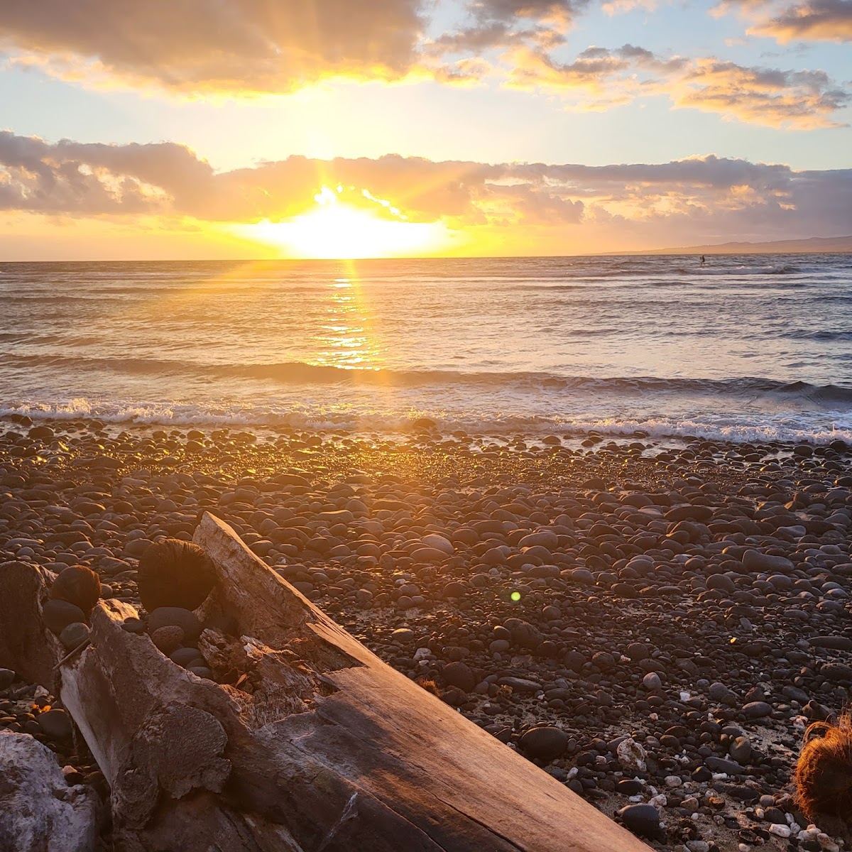 Waiehu Beach Park
